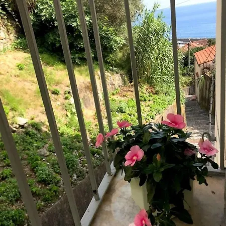 Da Cumma' Franca Tatil Evi Maratea